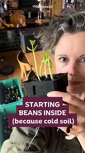 36 reactions · 14 comments | Got cold soil? Get the jump on spring by...