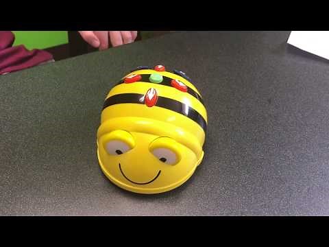 BeeBot Intro