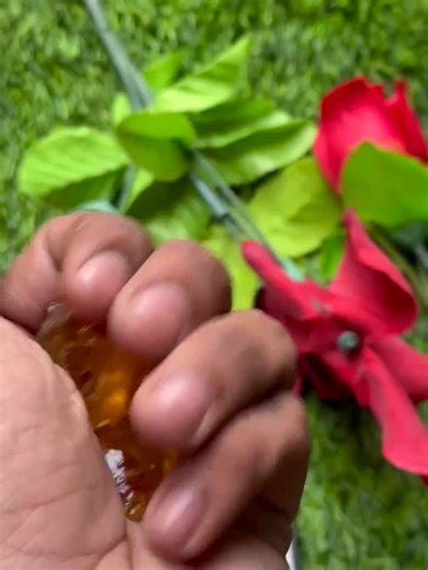 Raw Citrine Natural Crystal Lot 176 Ct 25–15mm Rough Gemstone 6 Pcs - Etsy