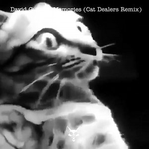 52K views · 946 shares | B A T E U  David Guetta - Memories (Cat Dealers Remix)  @imdiegoafonso | Electronic Music | Facebook