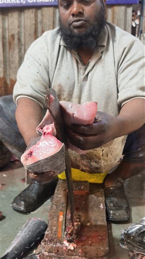 Amazing Sumundri Surmai Fish Cating Video #viralvideo #viralshort #trending #trendingshorts #