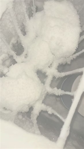 How to Declutter Your Freezer for a Fresh Start