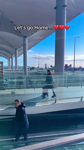 Let’s fly home business class on @Turkish Airlines . | Business Class Flight