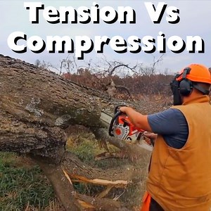 10K views · 154 reactions | How to Buck a Tree without Pinching Your Bar - Tension Vs Compression | Rockhill Farm - Tractors, Firewood, and Excavating | Facebook