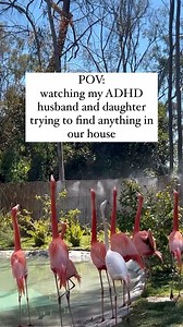 Anyone else relate? 😂 My husband and daughter both have ADHD, and something as simple as finding everyday items can turn into a long search. 🧦🔑 From an Occupational Therapy perspective, ADHD affects working memory, executive functioning, and visual perceptual skills. This makes it difficult to remember where things are, keep belongings organized, and even recognize objects in a cluttered space. 🧠👀 Creating a structured environment is key. Labeling items, using clear storage bins, and establ