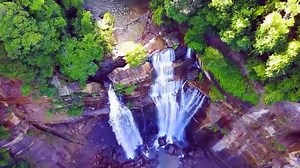 87K views · 727 reactions | Wave goodbye to the usual routine and step, drive or fly into the great outdoors of NSW. Fall in love with scenic tourist drives, breezy coastal getaways, and all-terrain adventures. | Visit NSW | Facebook