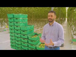 Making Deserts Bloom - Elite Agro