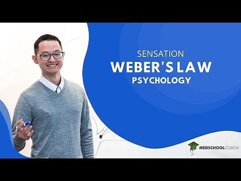 Weber's Law for Sensation