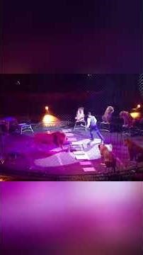 Circus Master Secrets: Cue, Control, Conquer!