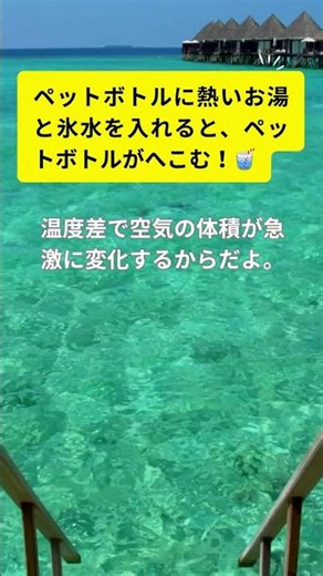 夏休みにすぐできる自由研究アイデア！