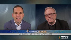 Friends, can everything in the world be reduced to atoms bumping against each other, and chemical reactions in our brains? Or is there something more to reality than its material elements? That’s what Brandon Vogt and I discuss on today’s “Word on Fire Show” episode, with the help of a new book by Justin Brierley, titled The Surprising Rebirth of Belief In God: Why New Atheism Grew Old and Secular Thinkers Are Considering Christianity Again. A listener asks, if feelings are not acts of the will,