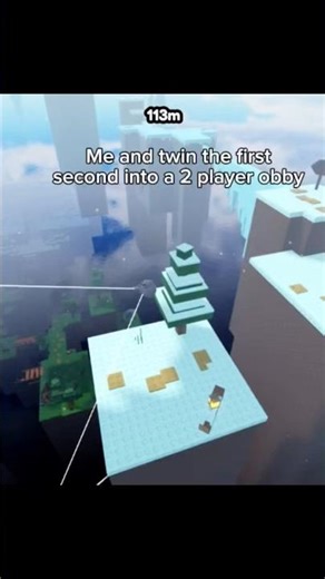 me and twin the first second into a two player obby