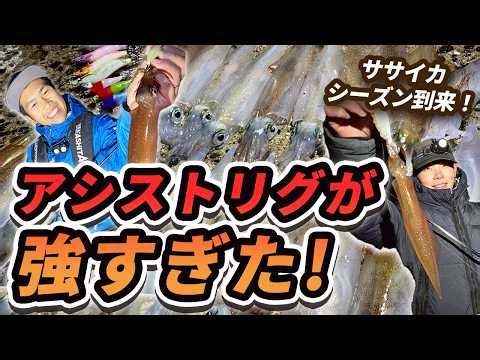 【ササイカ釣り】平戸・生月エリアで爆釣！シーズン開幕のヤリイカ攻略法とおすすめリグ解説【つり具のまるきん釣り情報】