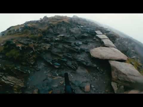 Chimp breaks world record for climbing up mount Snowdon (Pyg Track)