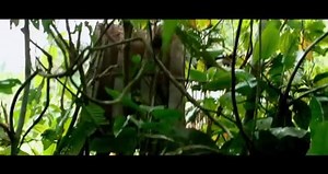 The Green Inferno - Official Trailer (2015)