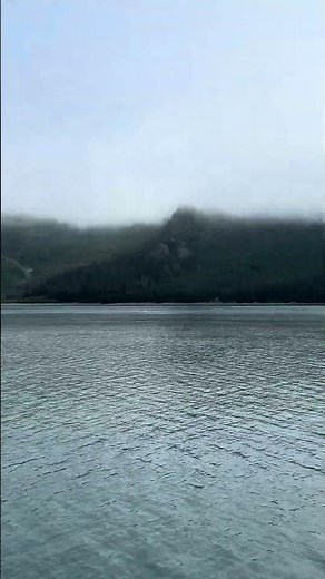 Kenai Fjords Glacier Cruise – Alaska’s Ultimate Adventure from Seward, Alaska, USA 🇺🇸