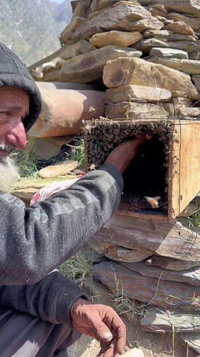 Beekeeping Basics: Handling Bees Safely Outdoors