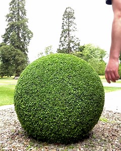 168K views · 485 reactions | Satisfying bush trimming | GOODLAD | Facebook