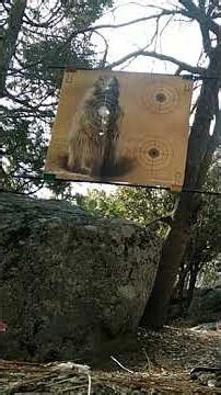 Crosman 1322 American Classic