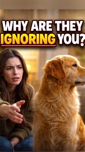 Why Your Dog Suddenly Ignores You #facts #dogs