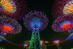 The Best Yoga Teacher Trainings in Singapore