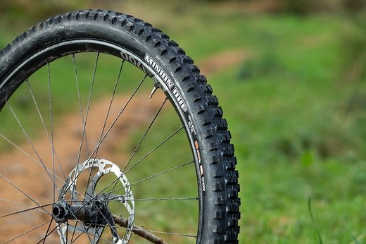 Maxxis Minion DHF EXO  TR 3C MaxxTerra 29 x 2.5in WT tyre review - Mountain Bike Tyres - Tyres