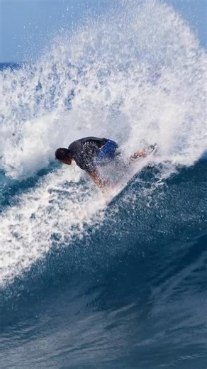Sharp Eye Surfboards on Instagram: "@riowaida_ enjoying his Hawaiian 🌺 vacation. He’s been getting around the North Shore on his File Fifty. A team favourite, the File Fifty offers elite performance in varied conditions from “good everyday” to “cooking” Available at your Core Retailer or sharpeyesurfboards.com now 🔨 📹 @danscotttt"