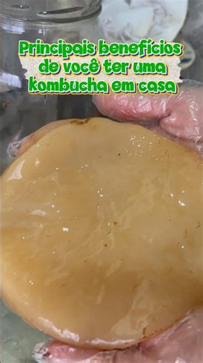 Main benefits of kombucha #kombucha