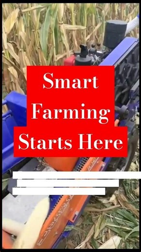 How This Mini Corn Harvester Works – Smart Farming Solution Explained!
