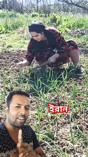 Iranian Village Girl Working in the Vegetable Garden | Traditional Rural Life