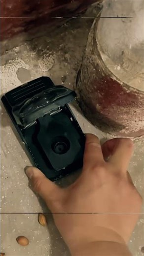 Setting a mouse trap and the ending #funny #short #funnyvideo #shortvideo