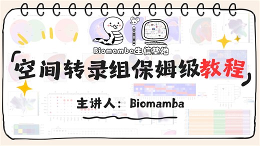 保姆级教程 《手把手教你做空间转录组测序数据分析》 'Biomamba生信基地'公众号制作