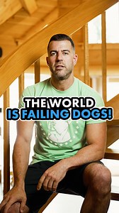 40K views · 1.1K reactions | Why are so many dogs ending up on...