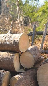 HEARTWOOD NOW AVAILABLE! ❤️🪵⁠ ⁠We are excited to introduce our 2025 Winter Seasonal Tumbler: Heartwood! This handblown glass tumbler features an earthy purple hue inspired by the heartwood of a tree, known for providing essential support.⁠ ⁠ Combining artistry and practicality, this tumbler is a vibrant addition to your gatherings and kitchen. Its unique design enhances your dining experience and serves as a delightful conversation starter.⁠ ⁠ Like our previous Seasonal Tumbler, Cascade, a port
