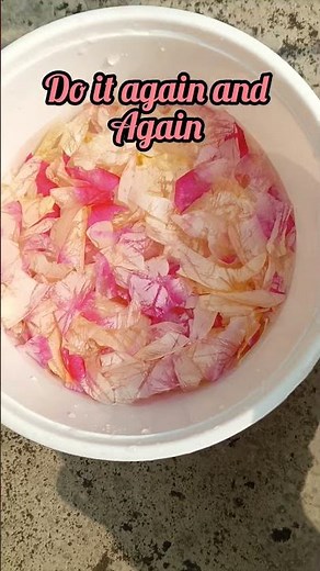 How to make rose perfume! 🌸❤️ #rose #perfume #homemade