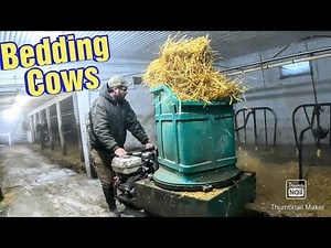 Using A Small Bedding Chopper To Bed Our Dairy Cows