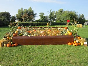 Walk the European Eventing Championship cross-country course - Horse & Hound