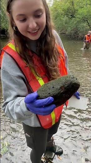 Environmental Science Students Conduct Fieldwork in Local Stream