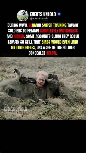 How German Snipers Became Almost Invisible in WW2 #ww2 #shorts