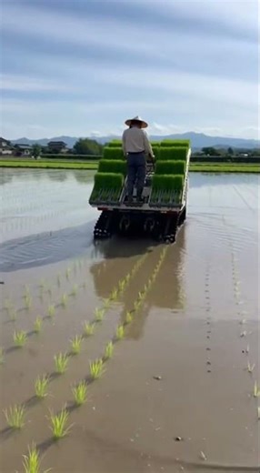 Modern Farming Technology | Rice Planting Revolutionizing Crop Yields