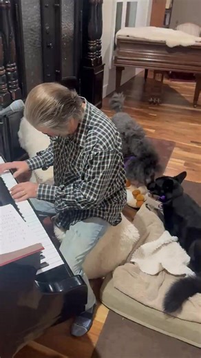 He Looked Beyond My Faults and saw My Need ( special request) #fblifestyle #gospelmusic #prayer #praise | Julian Brock Gospel Piano