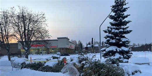 Giving season continues with Christmas tree recycling