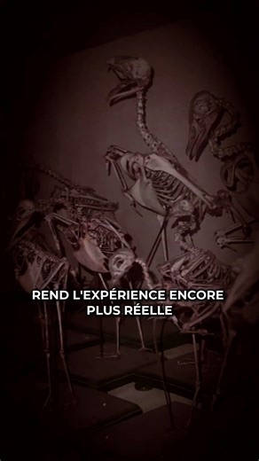Escape Game « Massacre au Musée » 👻