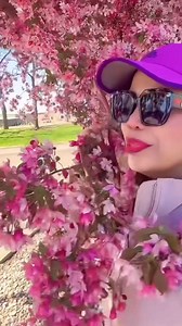 66 reactions · 64 comments | Crabapple tree Part 5 | Nena Bacor Dyce | Facebook