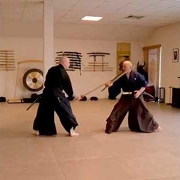 Mugai Ryu Kenjutsu Kata Kasumi