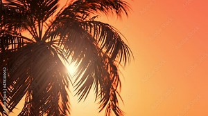 Vacation palm tree background animation with copy space. Seamless looping.