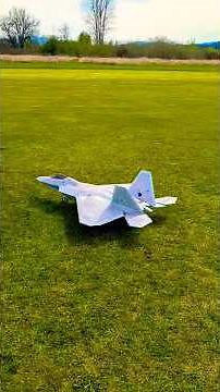 Freewing F-22 Raptor High Performance 90mm EDF Jet - PNP