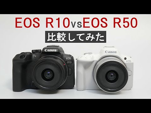 Canon EOS R10とEOS R50を徹底比較レビューしてみた
