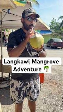 Langkawi Mangrove Tour | Boat Safari, Eagle Watching & Hidden Nature (Malaysia Trip Part 3)