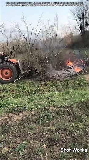 전지 작업 후 잔가지 효율적 수집 및 농지 정리 공정 #worker #process #farm #agriculture #orchard